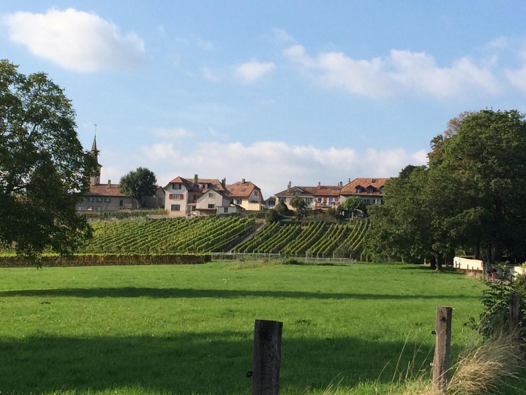 Le Chateau Lavigny Exterior photo